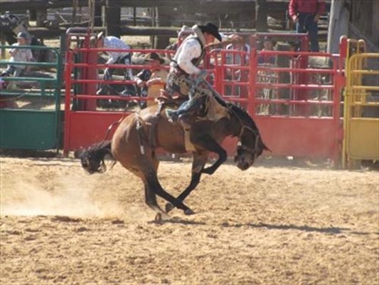 Events - Rodeo 1