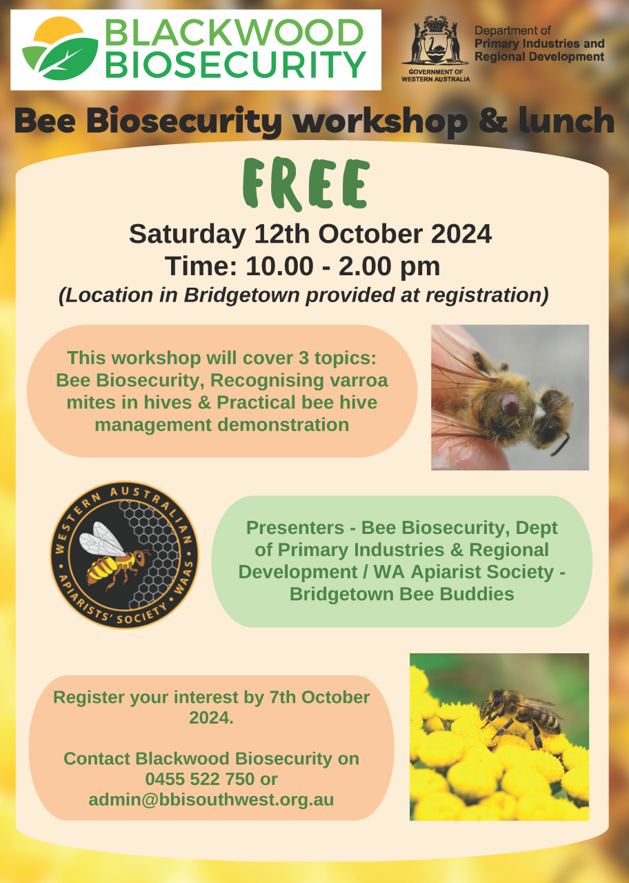 Bee Workshop