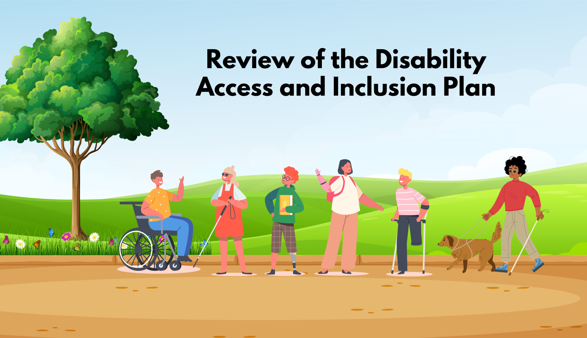 Disability Access and Inclusion Plan