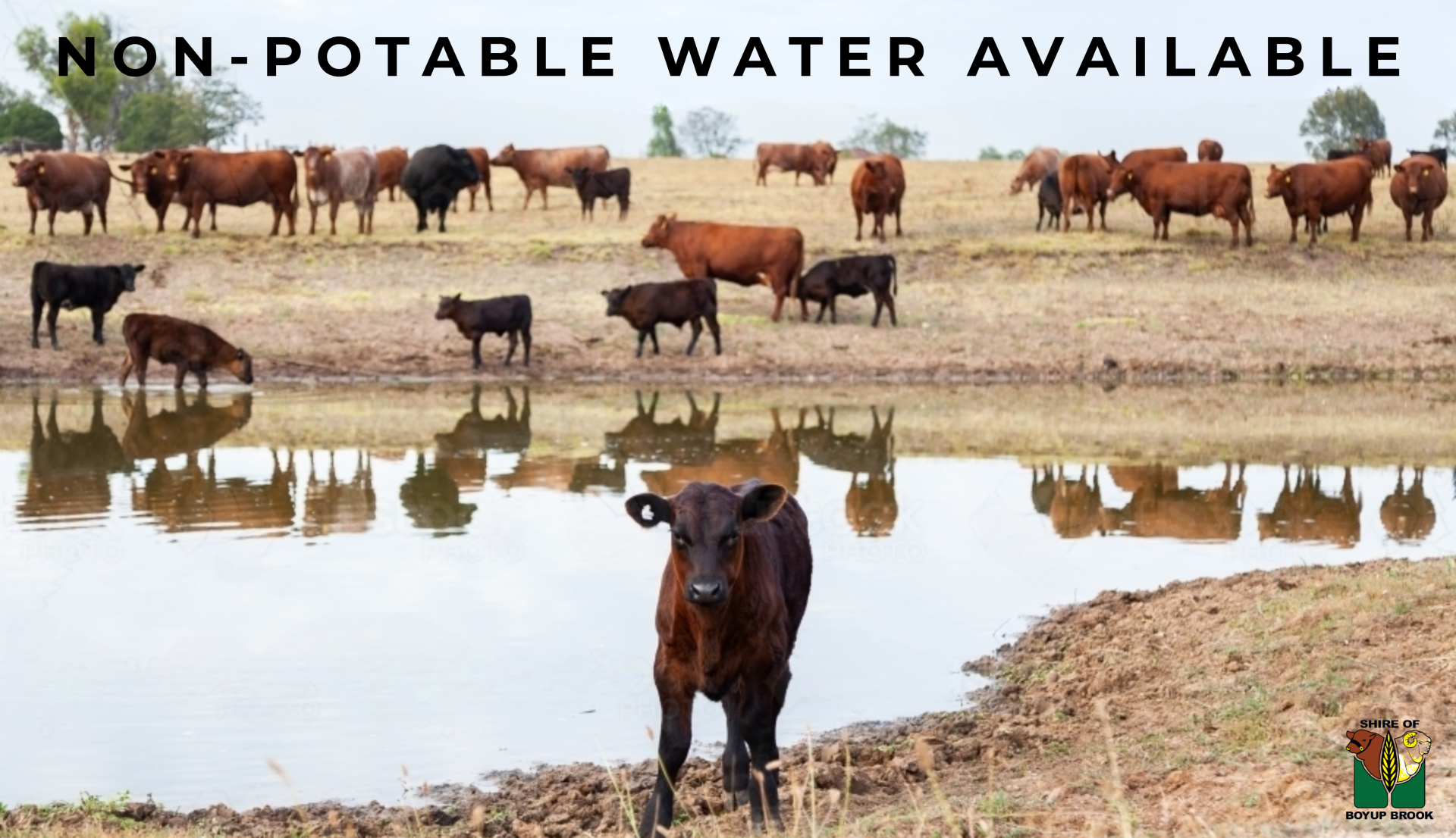Non-potable water available